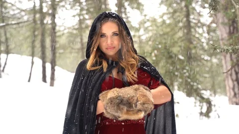 Cosplay model portrait in a winter forest, medieval costume, heavy snowfall Stock Footage 125796936