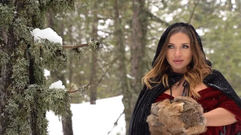 Cosplay model portrait in a winter forest, medieval costume, heavy snowfall Stock Footage 125798118