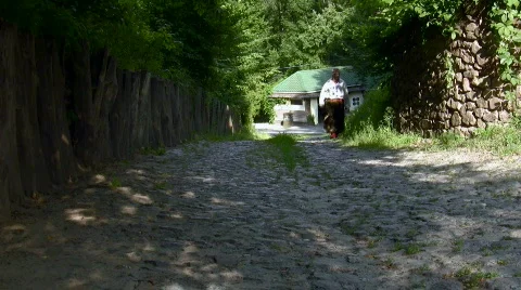 Cossack Video stock 782725