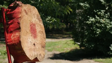 Cossack throwing old retro axe in the wooden target outdoors on the summer Stockbeeldmateriaal 111157018