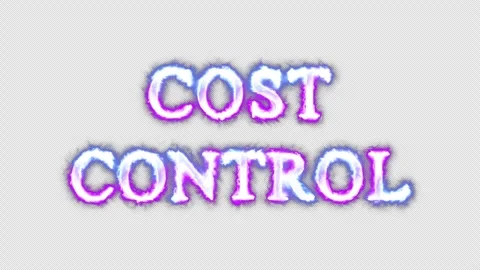 Cost control neon effects, text animation on transparent background Vidéo 303344837