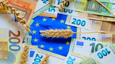 Cost of wheat and flour in the EU.spikelets of wheat and euro bills Stock Footage 192763834