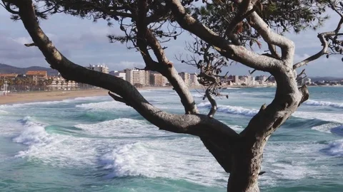 Costa Brava coast landscape Stock Footage 72559598