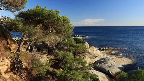 Costa Brava landscape Stock Footage 84196968