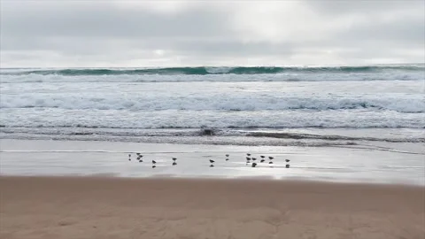Costa de charnecca beach Stock Footage 242519607