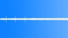 Costa Rica Bird Chirp AmbienceSound Effect