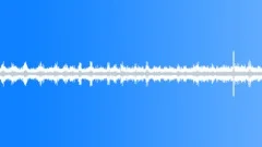 COSTA RICA BUSY CRICKETS AMBIANCE Sound Effect