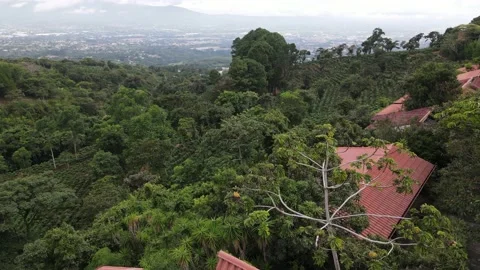 Costa Rica Cloud Forest Stock Footage 180545153