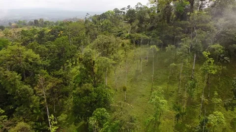 Costa Rica, clouds over the cloud forest 動画素材 152176148