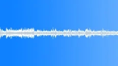 COSTA RICA CRICKETS AMBIANCE Sound Effect
