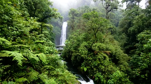 Costa Rica La Paz Waterfall - Aerial Drone View - Landscape Stock Footage 162590231