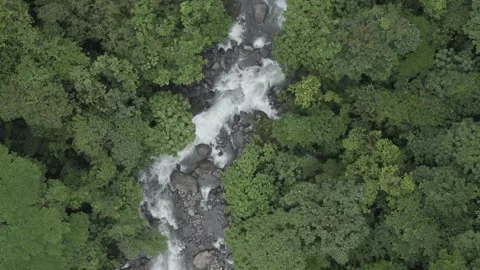 Costa Rica river (native) Stock Footage 220003863
