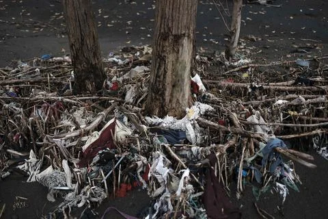 Costa Rica seeks to replace the harmful single-use plastic, Tarcoles - 05 Jun 20 Foto stock
