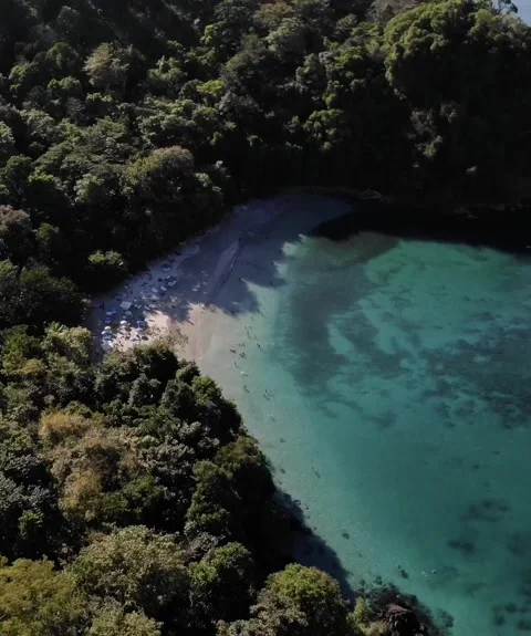 Costa Rica White Sand Beach Stock Footage