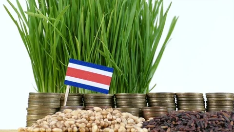 Costa Rican flag with stack of money coins and piles of wheat and rice seeds Stock Footage 71975965