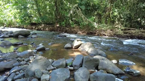 Costa Rican River Stream in the middle of Rio Cuarto of Alajuela, January 2022 Stock Footage 168274981