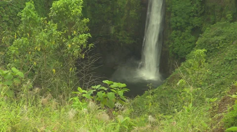 Costa Rican Waterfall Stock Footage 32547368