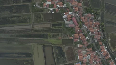 Costal at Indramayu West Java Indonesia Vídeo Stock 208825784