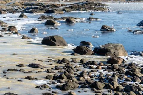 Costal Winter Stock Photos