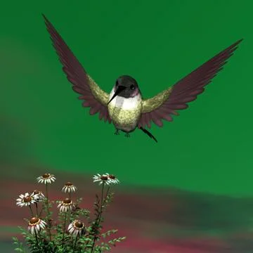 Costa's hummingbird - 3D render Stock Illustration