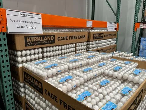 Costco limits customer to purchase maximum 3 eggs due to egg shortage Stock Photos