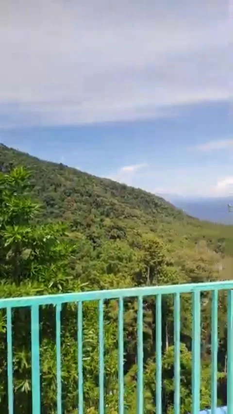 Cot Sibire2 Stock Footage 296745306