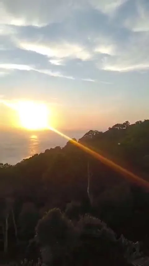 Cot Sibire3 Stock Footage 296745322