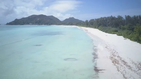 Cote DOr straight 2 Stock Footage 80390861