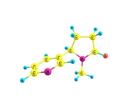 Cotinine molecule isolated on white Stock Illustration