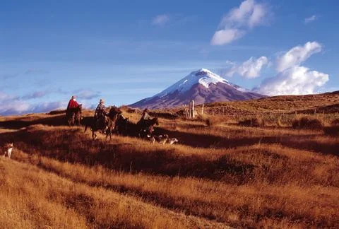 Cotopaxi Stock Photos