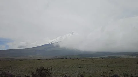 Cotopaxi Veiled in White Cloud over Dark Plain, Cotopaxi National Park, Ecuador Video stock 331498088
