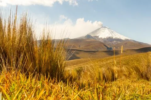 Cotopaxi Volcano In Ecuador 写真素材