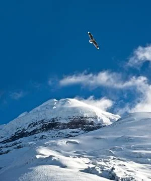 Cotopaxi volcano Stock Photos