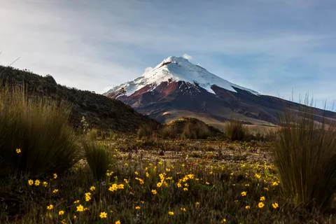 Cotopaxi volcano Stock Photos