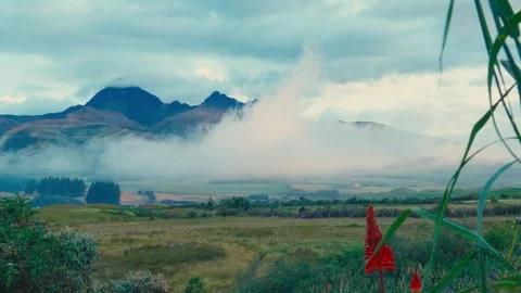 Cotopaxi volcano rises above clouds over a grassy field with red flowers in 库存影片 345156585