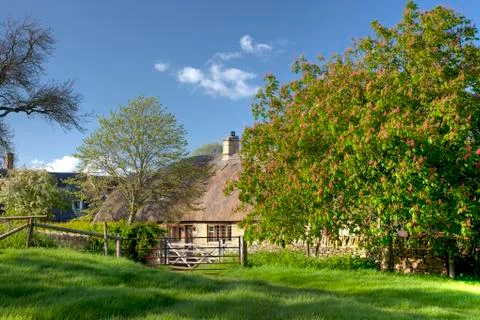 Cotswold cottage in spring Stock Photos