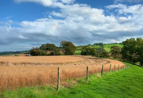 Cotswold harvest time Stock Photos