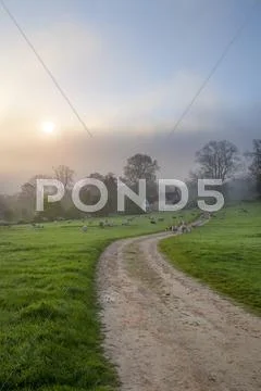 Cotswold misty morning Stock Photos