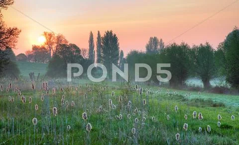 Cotswold wetlands Stock Photos