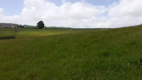 Cotswolds Landscape 1 Stock Footage 130904499