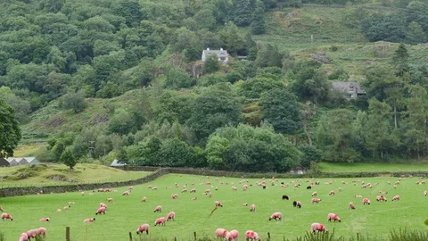 Cotswolds landscape Stock Footage 70182567