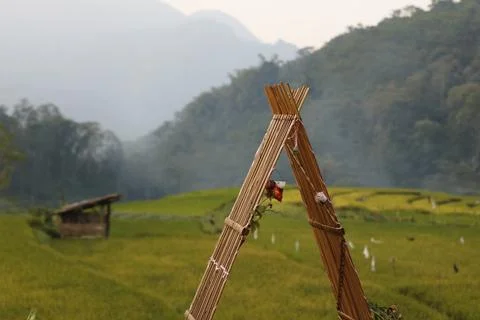 Cottage accessories in the fields Foto stock