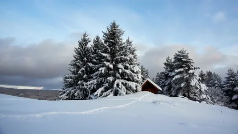 Cottage among the tree ,idyllic landscape tourist walks on the sidewalk, 4K Stock-Footage 168284298