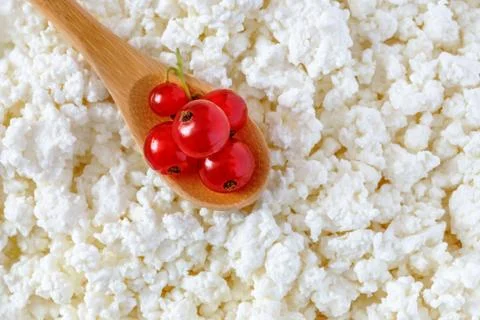 Cottage cheese with currant Stock Photos