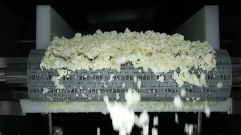 Cottage cheese falling into container from a conveyor line. Curd production Stock Footage 240915411