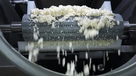 Cottage cheese falling into container from conveyor. Curd production Stock Footage 240915470