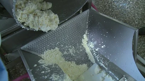 Cottage  cheese in the workshop 1 Video stock 318849181