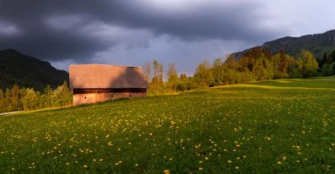 Cottage on a dramatic evening with dandelions Stock Photos