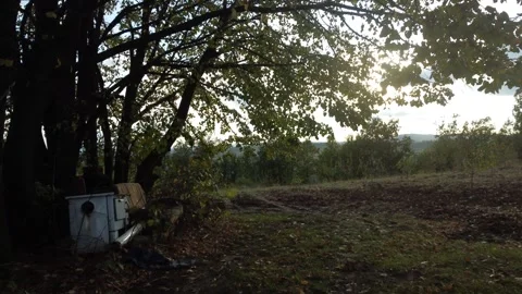 The cottage Stock Footage 256614075