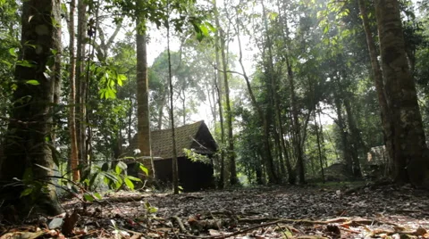 Cottage in the forest Stock Footage 46231080